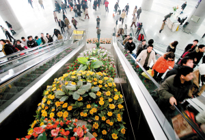 ���վ����� ���滨ӭ�́�(l��i)