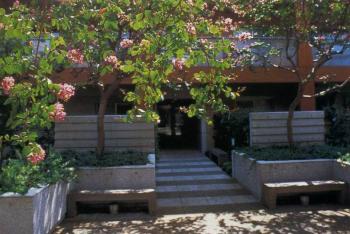 佐佐木葉二作品系列展示（六）：東丘花園