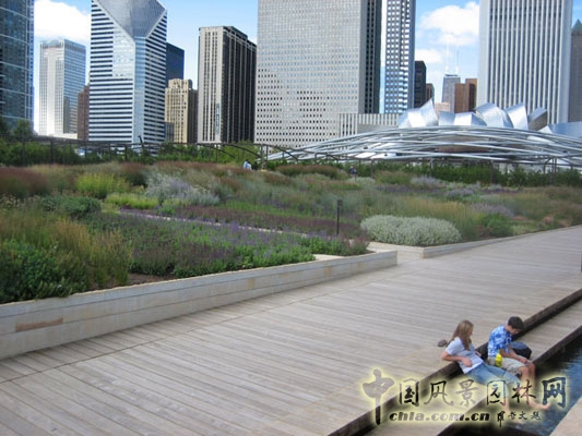 石質表面的可當做座椅的臺階排列在南向的步道兩側