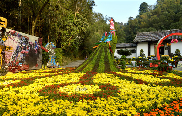 常德桃花源菊花節開幕