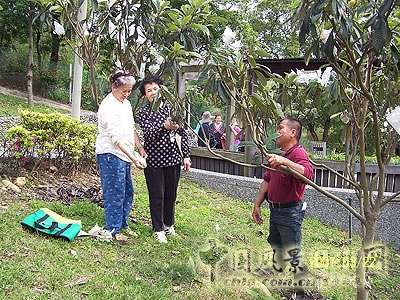 長庚養(yǎng)生文化村