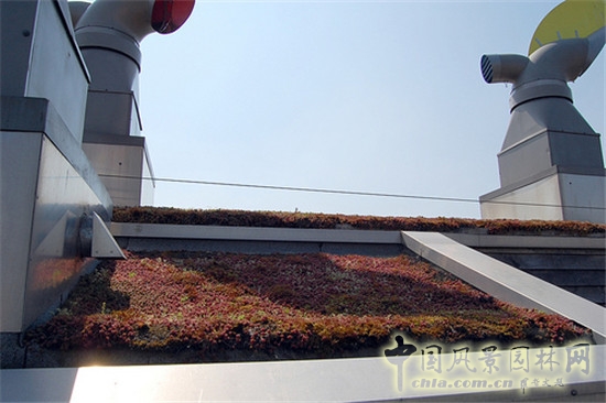 英國BedZED生態(tài)村