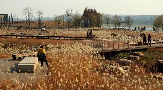 中國十佳生態景觀案例