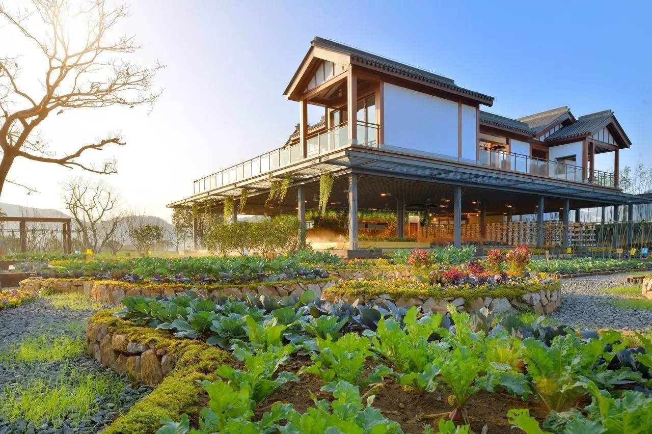 綠城宋衛平“理想小鎮”樣板農莊