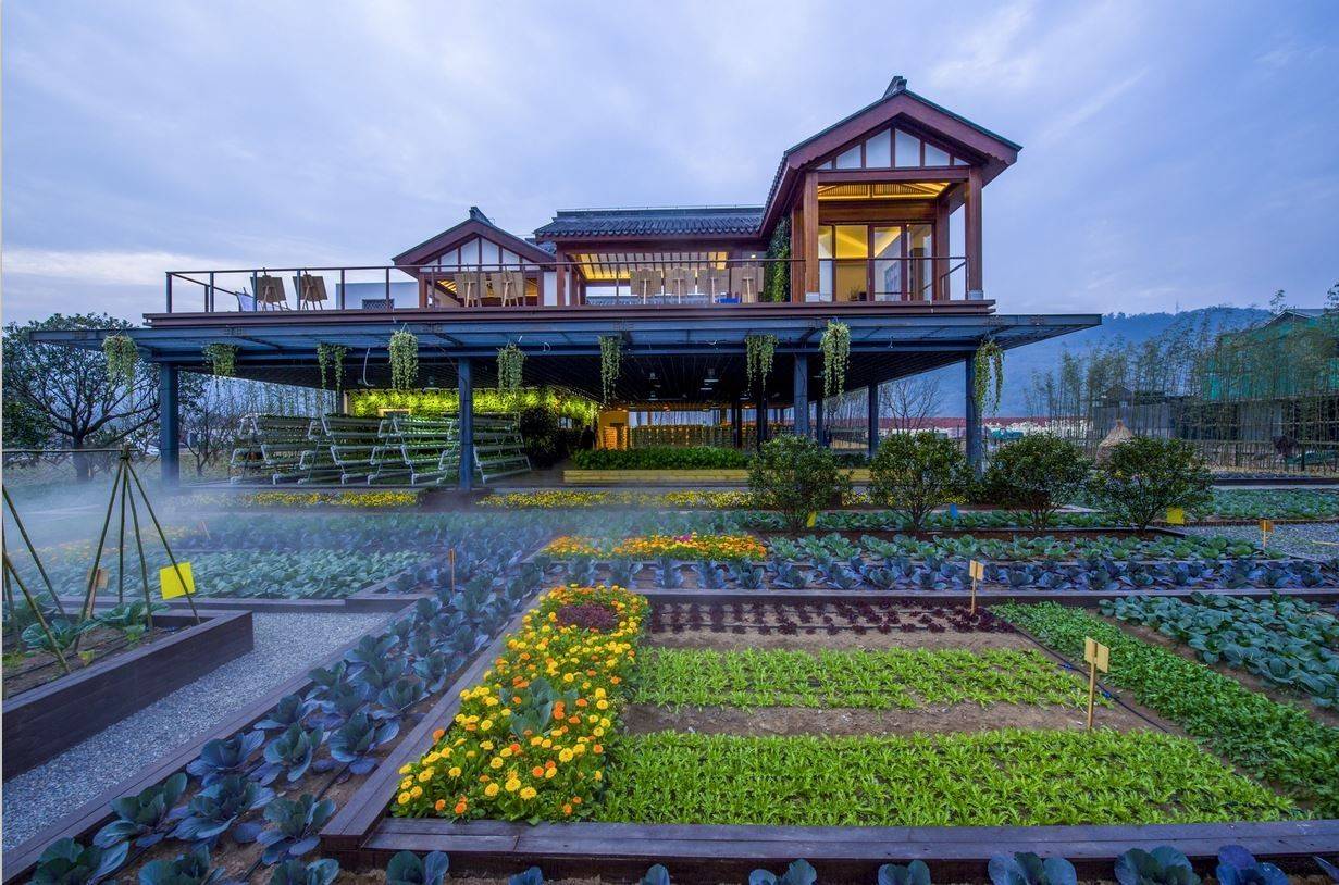 綠城宋衛平“理想小鎮”樣板農莊