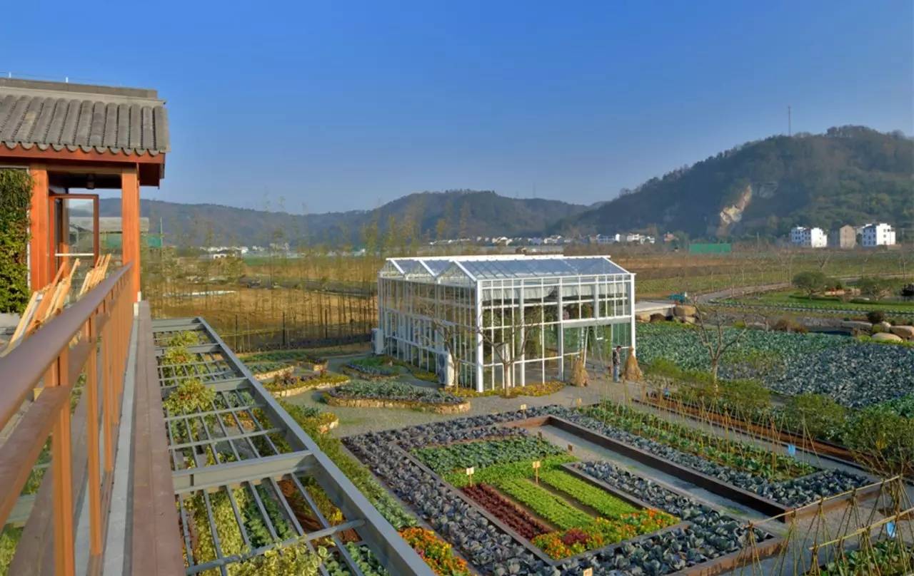 綠城宋衛平“理想小鎮”樣板農莊