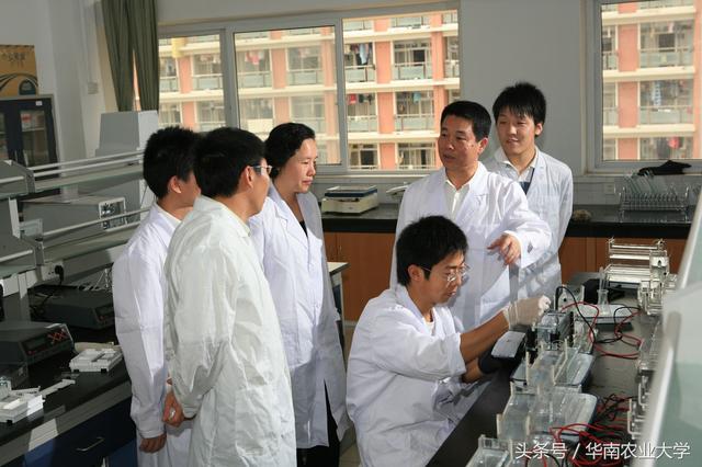 國家植物航天育種在理論研究上取得重要進展