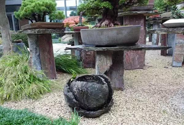 盆景——從園林中走出來的造型藝術(shù)