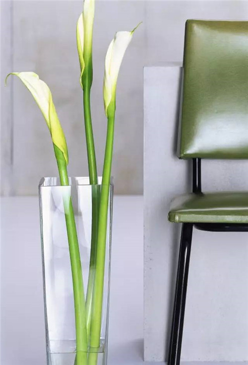 超好學的夏日插花指南!