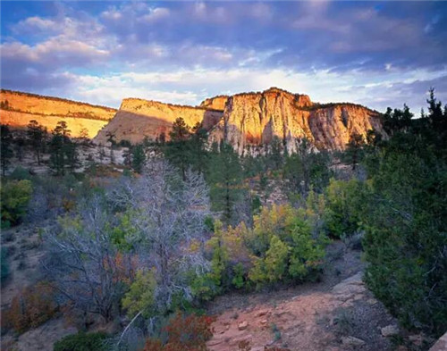 美國錫安國家公園一步一景,美不勝收