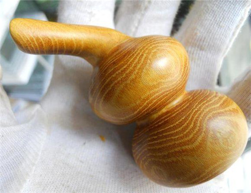 濟南南部山區的珍貴樹種介紹——柘木