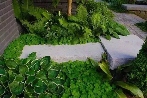 景觀設計：石頭縫里的景觀