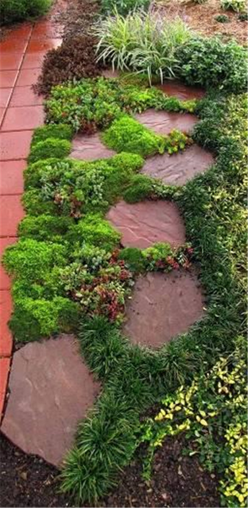 景觀設計：石頭縫里的景觀