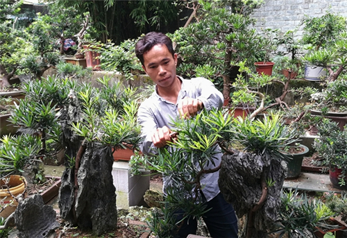 梅南珍：酷愛盆景藝術的城市邊沿人