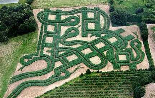 迷宮制造者腦子里在想什么?