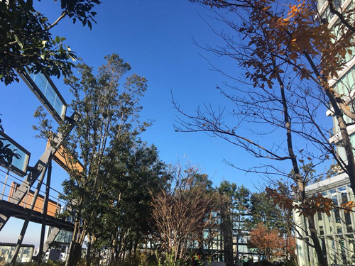 日本景觀考察：與隈研吾、戶田芳樹大師對話