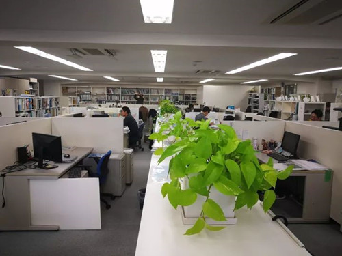 日本景觀考察：與鳳研究所交流