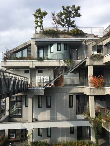 日本景觀考察：與鳳研究所交流