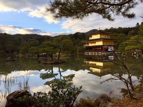 日本景觀考察：與鳳研究所交流