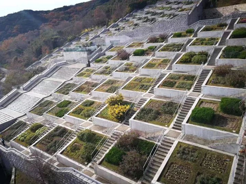 日本景觀考察：與鳳研究所交流