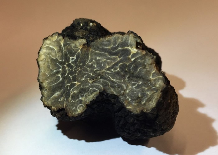 法國巴黎某酒店屋頂花園竟長出野生松露