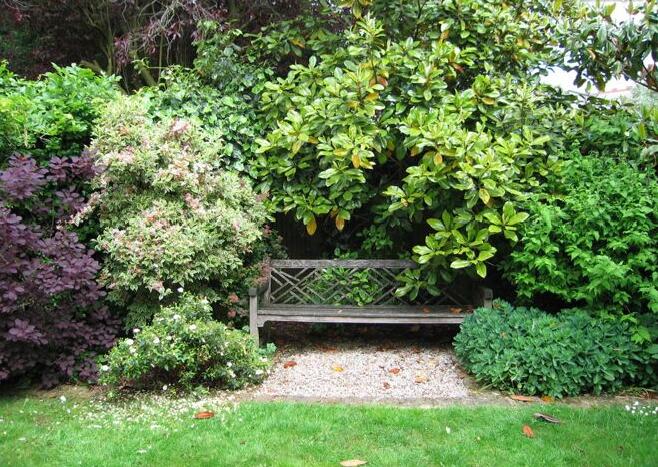 如何將城市里小塊土地變?yōu)槌鞘芯G洲