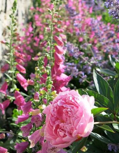 如何將城市里小塊土地變?yōu)槌鞘芯G洲