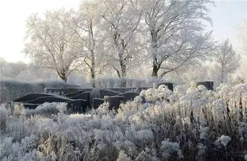 這位設計師花了32年,沉淀出了一片荒野景觀