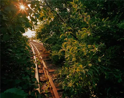 這位設計師花了32年,沉淀出了一片荒野景觀