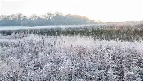 這位設計師花了32年,沉淀出了一片荒野景觀