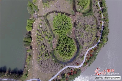 江蘇揚(yáng)州古運河畔“長”出生態(tài)公園