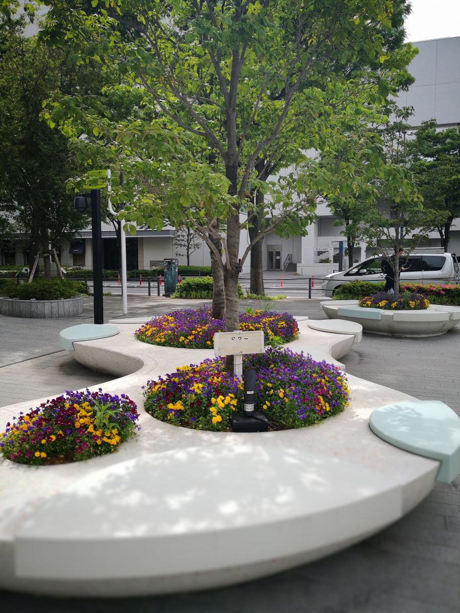 感受日本現代景觀和知名建筑 對話禪僧大師枡野俊明