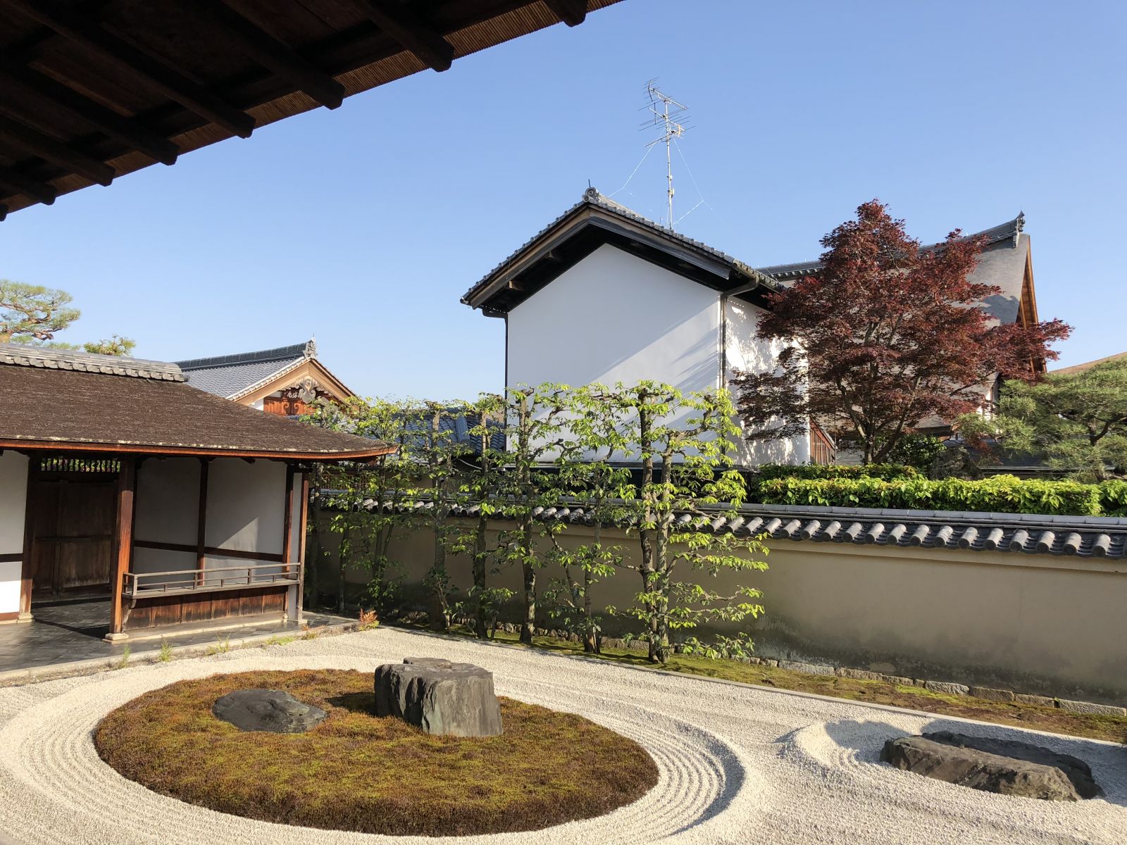 領略日本傳統庭院 考察京都最美河流