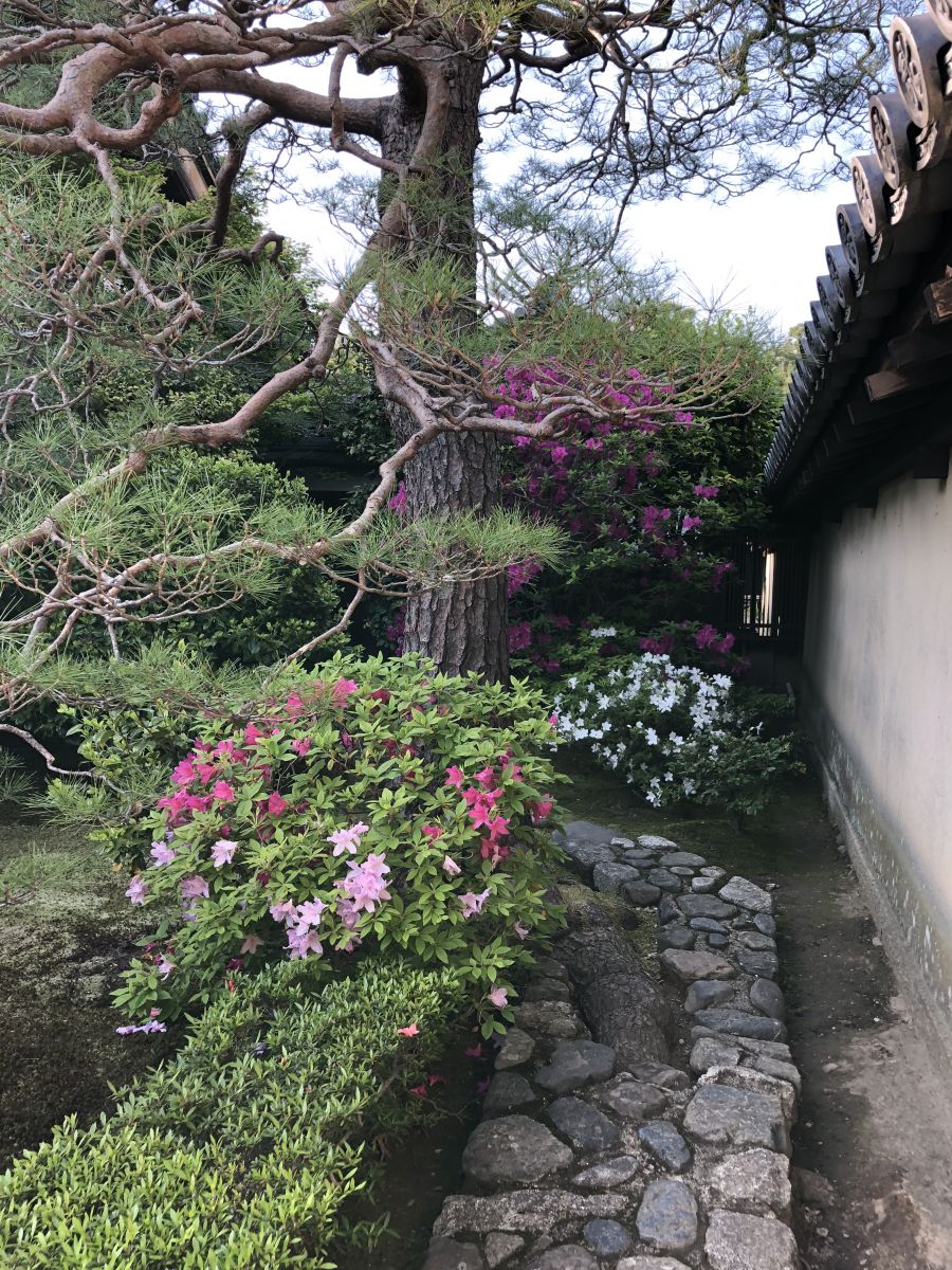 領略日本傳統庭院 考察京都最美河流