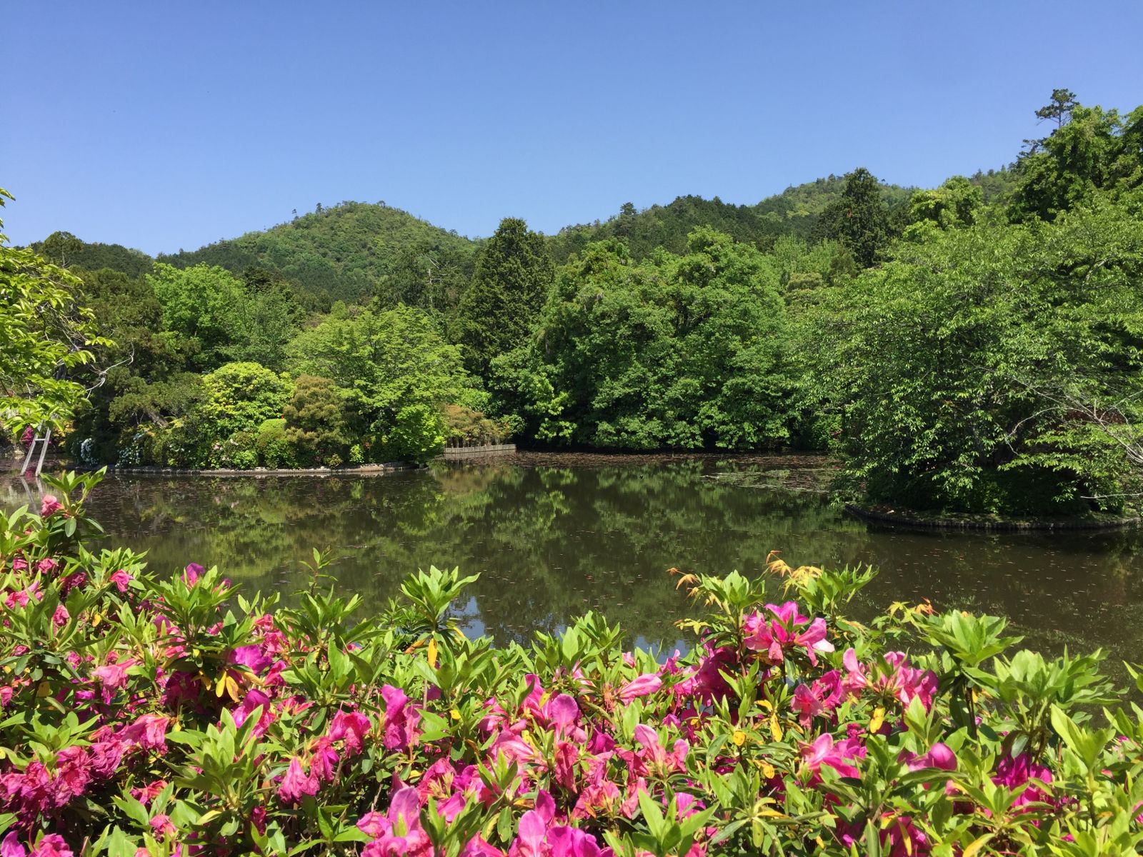 領略日本傳統庭院 考察京都最美河流