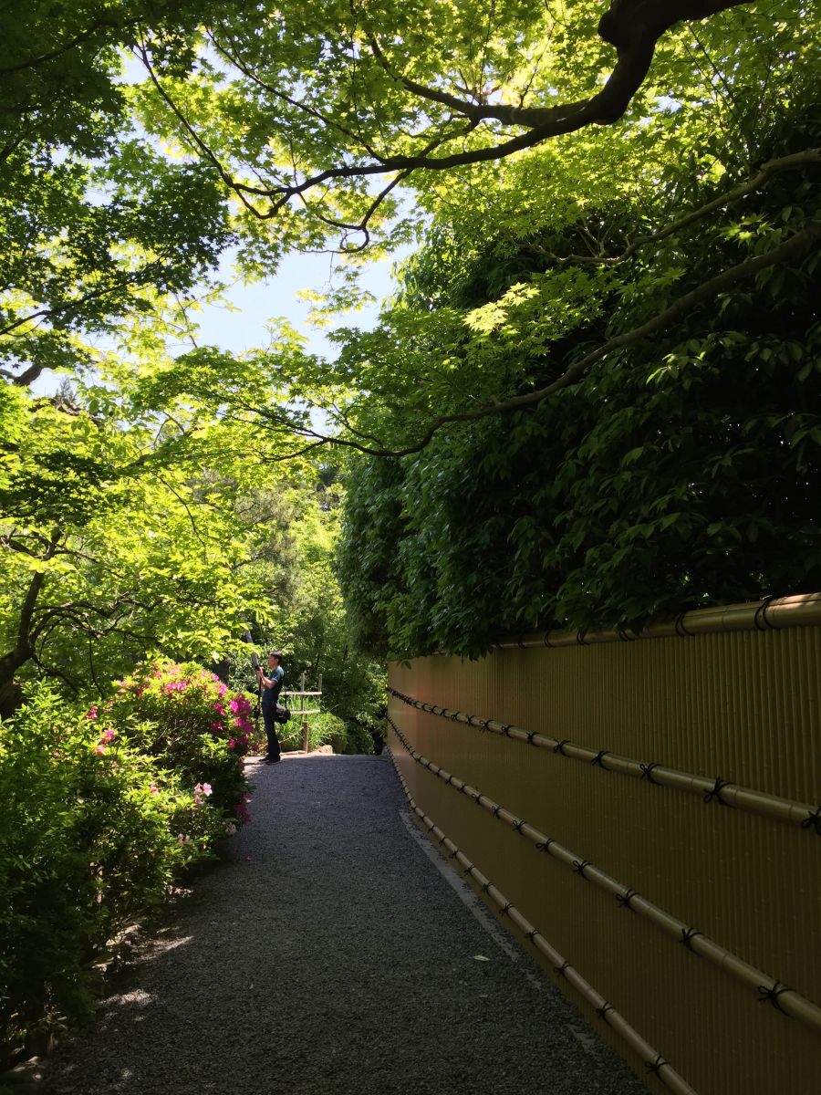 領略日本傳統庭院 考察京都最美河流