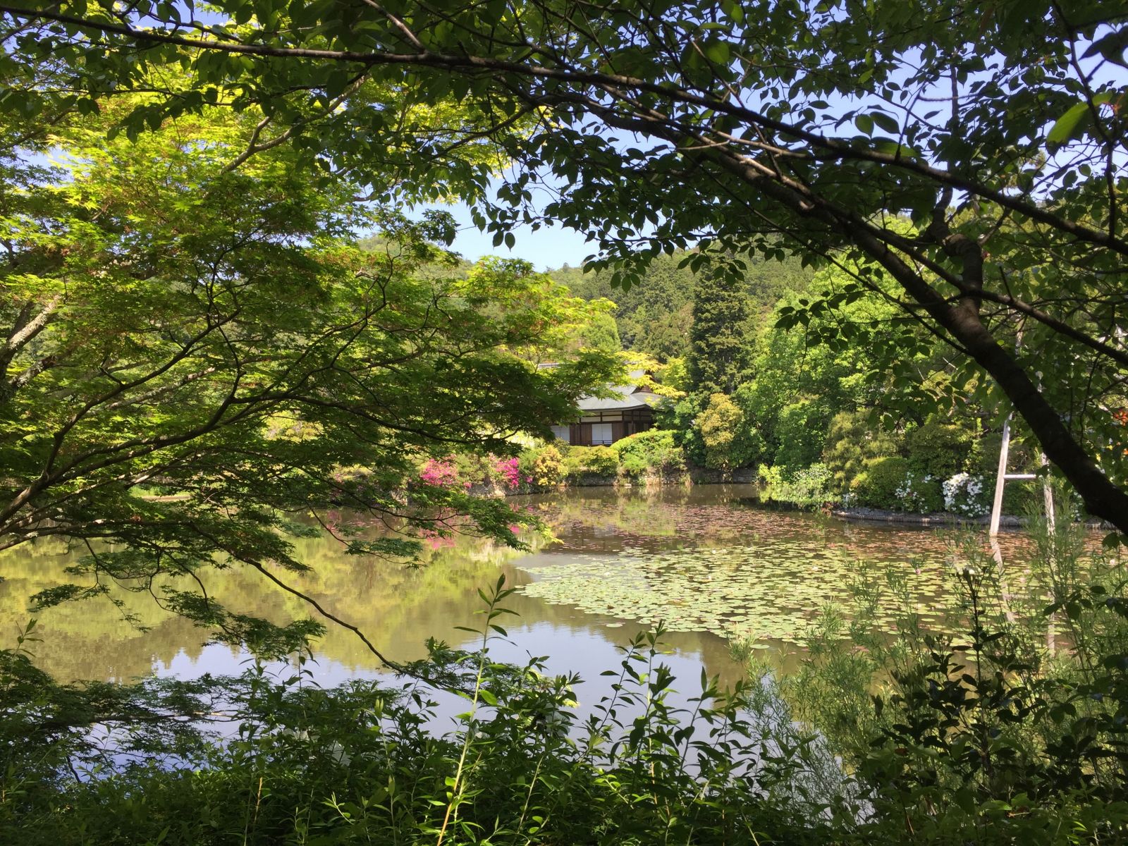 領略日本傳統庭院 考察京都最美河流
