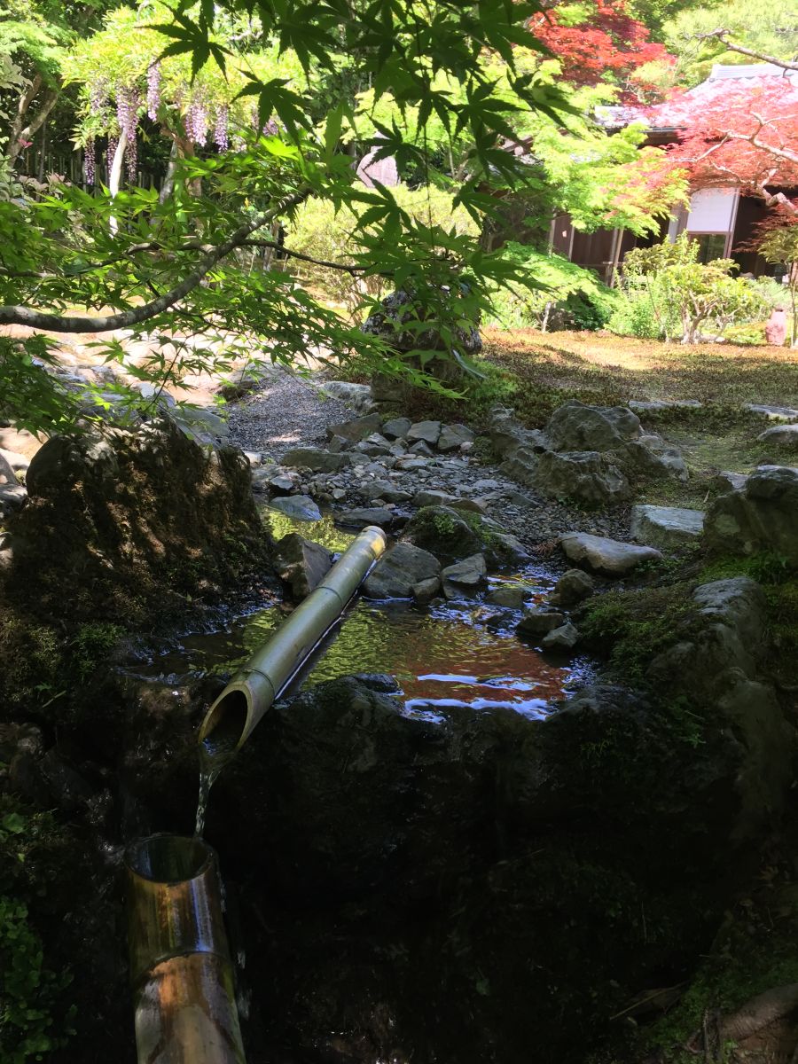 領略日本傳統庭院 考察京都最美河流