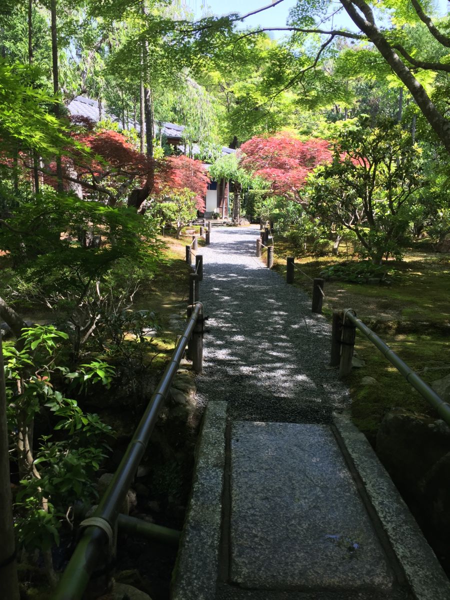 領略日本傳統庭院 考察京都最美河流