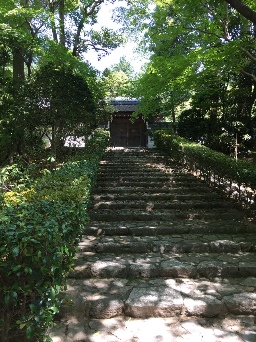 領略日本傳統庭院 考察京都最美河流