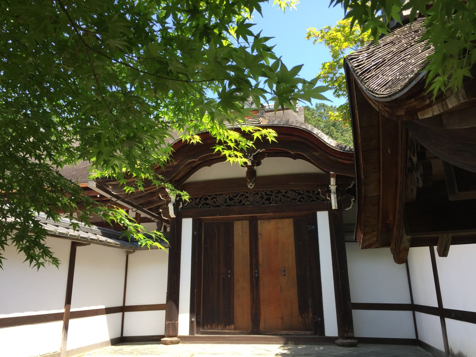 領略日本傳統庭院 考察京都最美河流