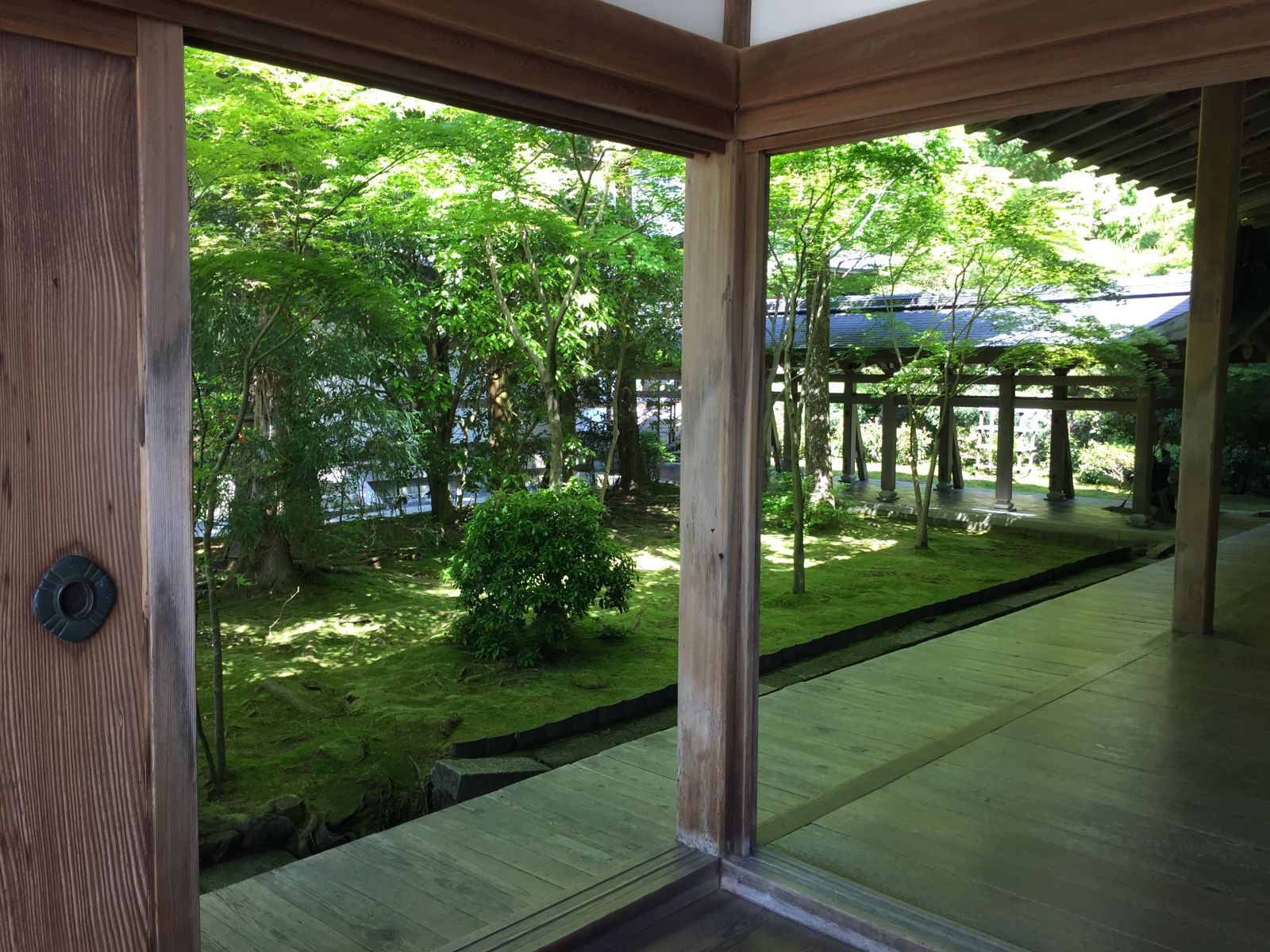 領略日本傳統庭院 考察京都最美河流