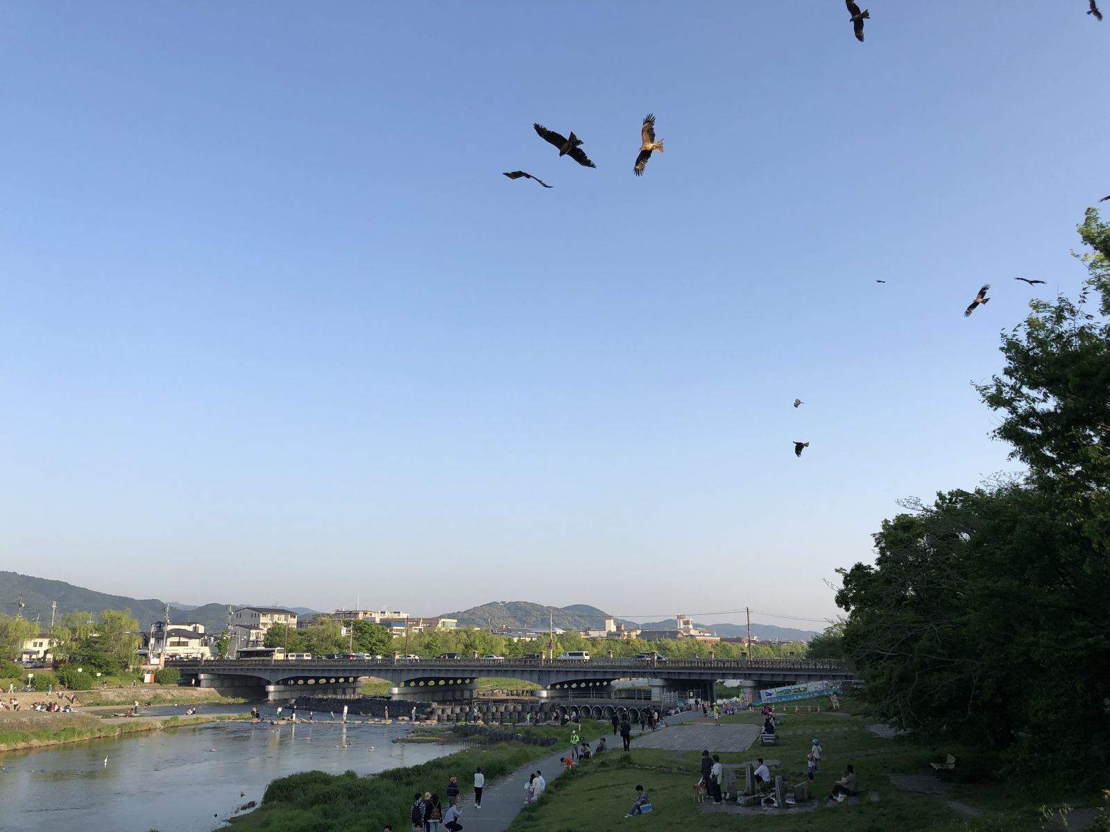 領略日本傳統庭院 考察京都最美河流