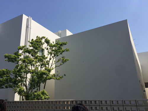 對話佐佐木葉二大師：展現看不見的自然