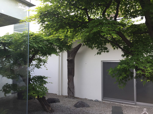 對話佐佐木葉二大師：展現看不見的自然