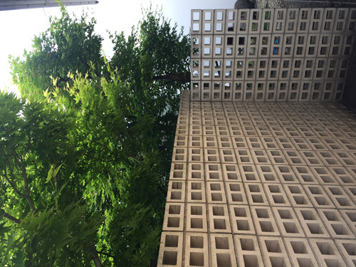 對話佐佐木葉二大師：展現看不見的自然