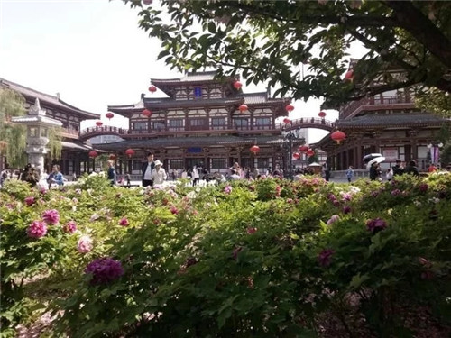 最受日本人喜愛的景區，就在西安的東郊