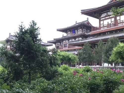 最受日本人喜愛的景區，就在西安的東郊