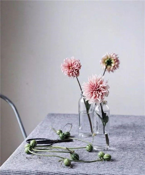 插花藝術讓你更懂得生活的情調