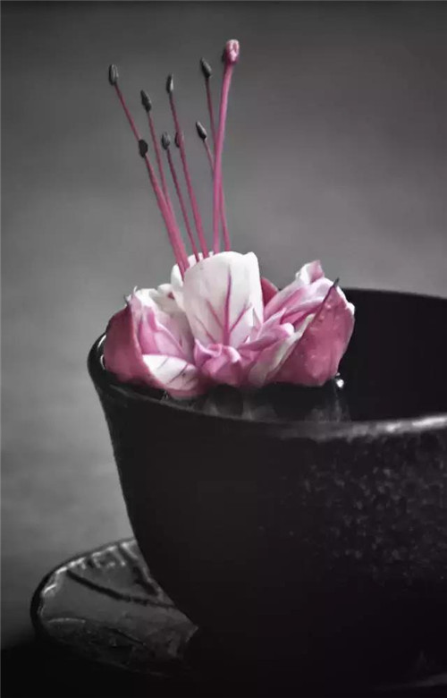 插花入瓶，生活在野